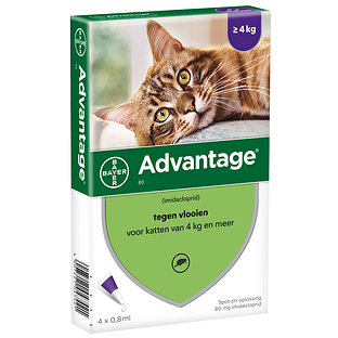 Advantage Kat 80 4ST