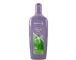 Andrelon Iedere Dag Shampoo XL 450ML