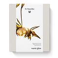 Dr. Hauschka Warm Glow Regeneratie Giftset 1ST