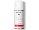 Dr. Hauschka Deodorant Salie Mint 50ML