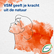 Vsm Tonsiotreen Zuigtabletten 40TB Vsm Tonsiotreen Zuigtabletten 40TB