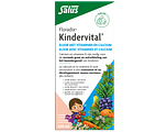 Salus Floradix Kindervital 500ML