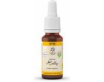 Lemon Pharma Bach NO.15 Holly 20ML Lemon Pharma Bach NO.15 Holly 20ML