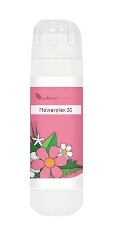 Balance Pharma Flowerplex 036 Communicatie 6GR