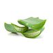 Garnier SkinActive Botanische Dagcrème met Aloë Vera Extract 50ML Garnier SkinActive Botanische Dagcrème met Aloë Vera Extract 50ML