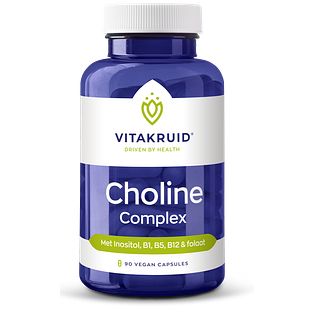 Vitakruid Choline Complex met Inositol, B1, B5, B12 & Folaat 90VCP