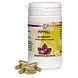 Holisan Pippali Capsules 60CP Holisan Pippali Capsules 60CP