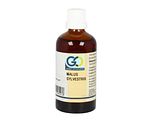 GO Gemmo Oplossingen Malus Sylvestrus Druppels 100ML GO Gemmo Oplossingen Malus Sylvestrus Druppels 100ML