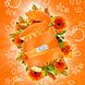 Eco Egg Laundry Egg Orange Blossom 1ST
