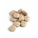 Biotics Cytozyme-KD Tabletten 60TB