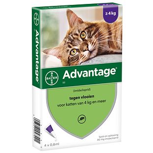 Advantage Kat 80 4ST