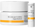 Dr. Hauschka Lippenbalsem + Lippenverzorgingsstift Combi 2ST