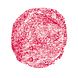 Benecos Lipgloss Flamingo 5ML kleur en textuur product