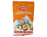 Vitalp Kruidenpastilles Honing 75GR Vitalp Kruidenpastilles Honing 75GR