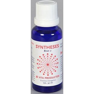 Vita Producten Vita Syntheses Bron 2 Psyche 30ML Vita Producten Vita Syntheses Bron 2 Psyche 30ML