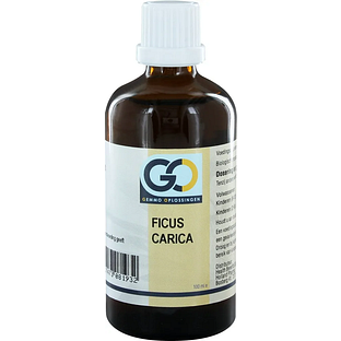 GO Gemmo Oplossingen Ficus Carica Bio Tinctuur 100ML GO Gemmo Oplossingen Ficus Carica Bio Tinctuur 100ML