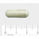 Orthica Alfa-Liponzuur Capsules 60CP Orthica Alfa-Liponzuur Capsules 60CP
