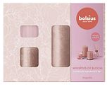 Bolsius Whisper Of Bloom Candle & Fragrance Set Magnolia 1ST