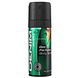 Denim Musk Deo Perfume Body Spray 150ML