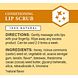 Burt's Bees Conditioning Lip Scrub 7,08GR