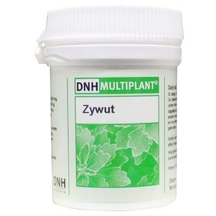 DNH Research DNH Multiplant Zywut Tabletten 140TB