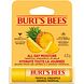 Burt's Bees Tropical Pineapple Lip Balm 4.25GR
