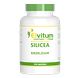 Elvitum Silicea Tabletten 100TB Elvitum Silicea Tabletten 100TB