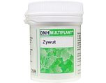 DNH Research DNH Multiplant Zywut Tabletten 140TB