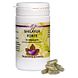 Holisan Shilayur Forte Capsules 45CP Holisan Shilayur Forte Capsules 45CP