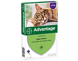 Advantage Kat 80 4ST