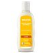 Weleda Haver Regenererende Shampoo 190ML Weleda Haver Regenererende Shampoo 190ML