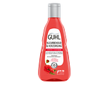 Guhl Kleurbehoud & Verzorging Shampoo 250ML