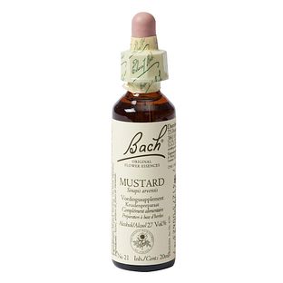Bach Flower Remedies Herik 21 20ML