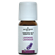 Jacob Hooy Essentiële Olie Lavendel 10ML
