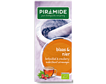 Piramide Thee Blaas & Nier 20ZK