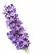 Kneipp Badschuim Relaxing - Lavendel 400ML