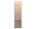 Toujours Trend Color 5.3 Light Golden Brown 100ML Toujours Trend Color 5.3 Light Golden Brown 100ML