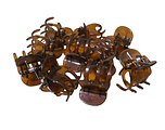 Hair Mode Mini Haarklemmen Bruin 10ST Hair Mode Mini Haarklemmen Bruin 10ST
