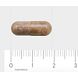 AOV 807 Druivenpitten-extract 60mg Vegacaps 60VCP Afmeting capsule