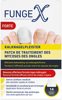 Naar: FungeX