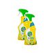 Dettol Power & Fresh Allesreiniger Citrus Spray Duo 2x500ML Dettol Power & Fresh Allesreiniger Citrus Spray Duo 2x500ML