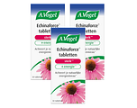 A.Vogel Echinaforce Sterk** + Energie* Tabletten Multiverpakking 3x30ST