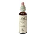 Bach Flower Remedies Kerspruim 06 20ML Bach Flower Remedies Kerspruim 06 20ML