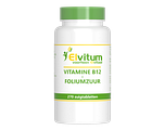 Elvitum Vitamine B12 + Foliumzuur Zuigtabletten 270TB