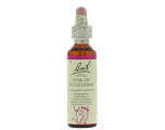 Bach Flower Remedies Vogelmelk 29 20ML