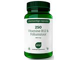 AOV 250 Vitamine B12 & Foliumzuur Vegacaps 60VCP