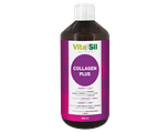 Vitasil Collagen Plus 500ML