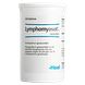 Heel Lymphomyosot H Tabletten 250TB
