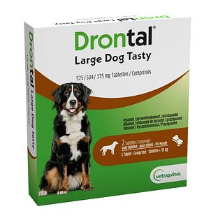 Drontal Hond Large Dog Tasty 2ST