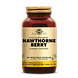Solgar Hawthorne (Meidoorn) Berry Capsules 100VCP